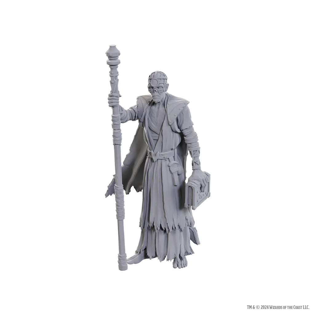D&D Nolzur's Marvelous Miniatures: Special Edition Baldur's Gate 3 - Volo & Withers