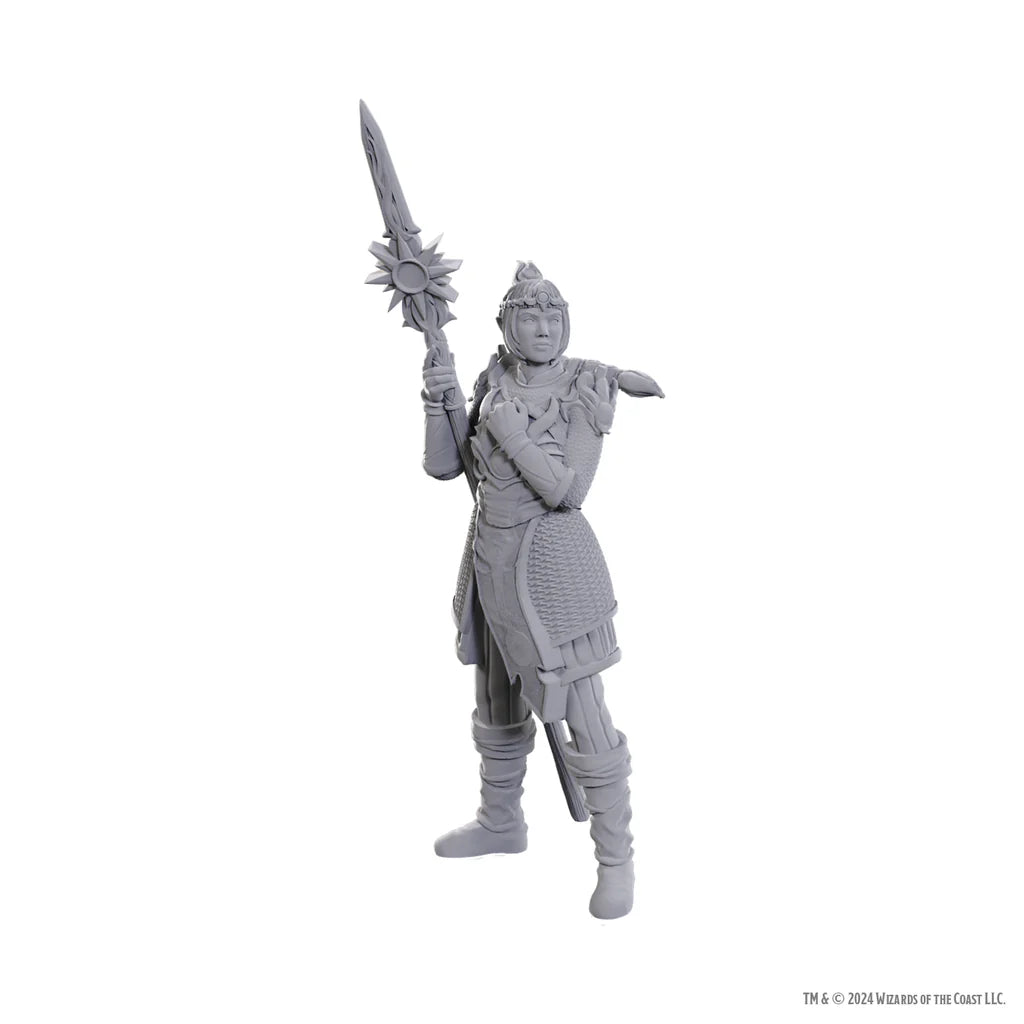 D&D Nolzur's Marvelous Miniatures: Special Edition Baldur's Gate 3 - Lae'zel & Shadowheart