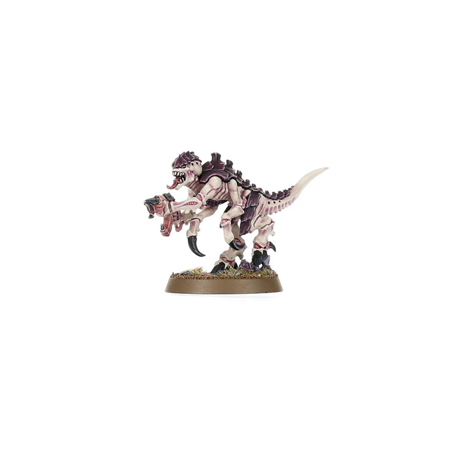 Warhammer 40,000: Introductory Set
