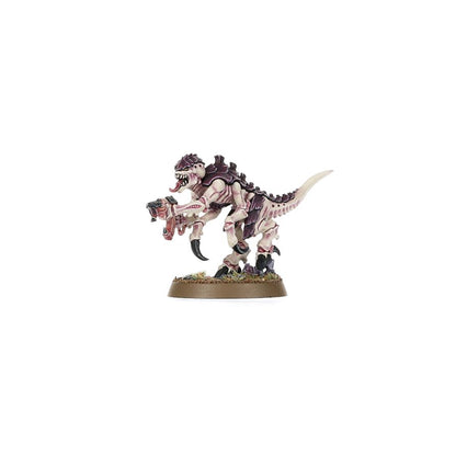 Warhammer 40,000: Introductory Set
