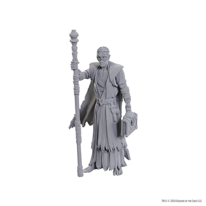 D&D Nolzur's Marvelous Miniatures: Special Edition Baldur's Gate 3 - Volo & Withers
