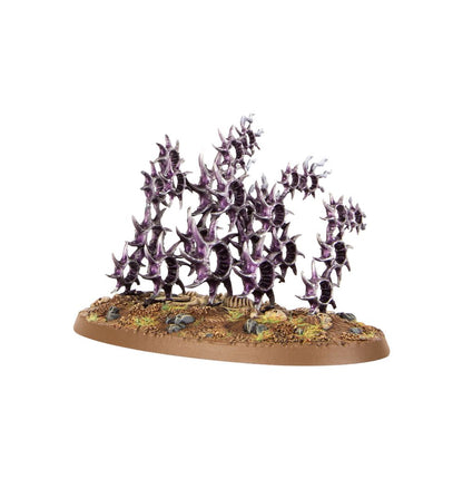 Hedonites of Slaanesh: Regiments of Renown - The Accursed Reflection