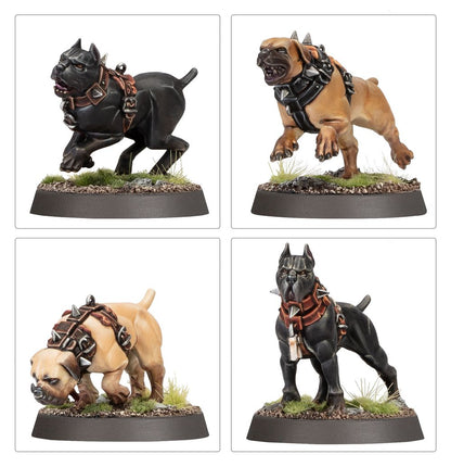 Cities of Sigmar: Regiments of Renown - Ven Denst's Hounds