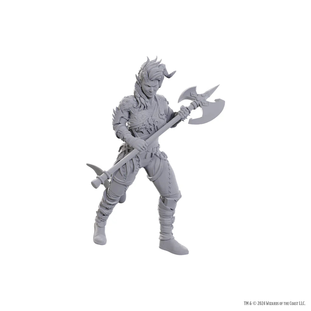 D&D Nolzur's Marvelous Miniatures: Special Edition Baldur's Gate 3 - Wyll & Karlach