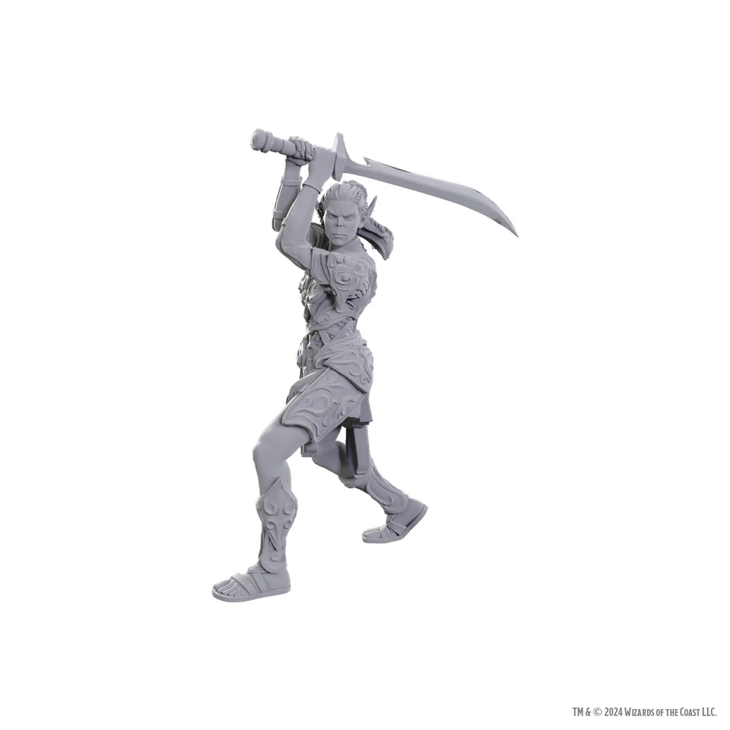 D&D Nolzur's Marvelous Miniatures: Special Edition Baldur's Gate 3 - Lae'zel & Shadowheart