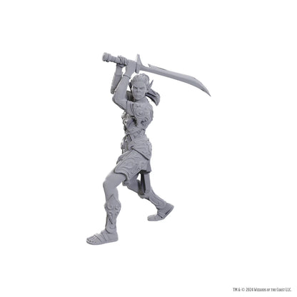 D&D Nolzur's Marvelous Miniatures: Special Edition Baldur's Gate 3 - Lae'zel & Shadowheart